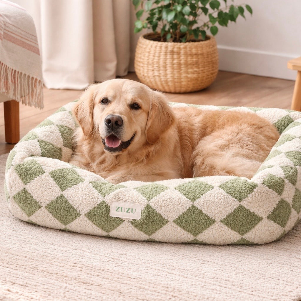 Olive Check (Lounge)